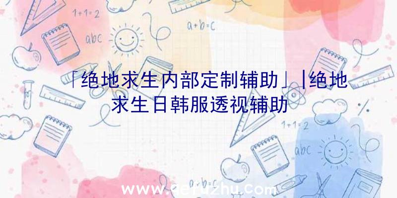 「绝地求生内部定制辅助」|绝地求生日韩服透视辅助